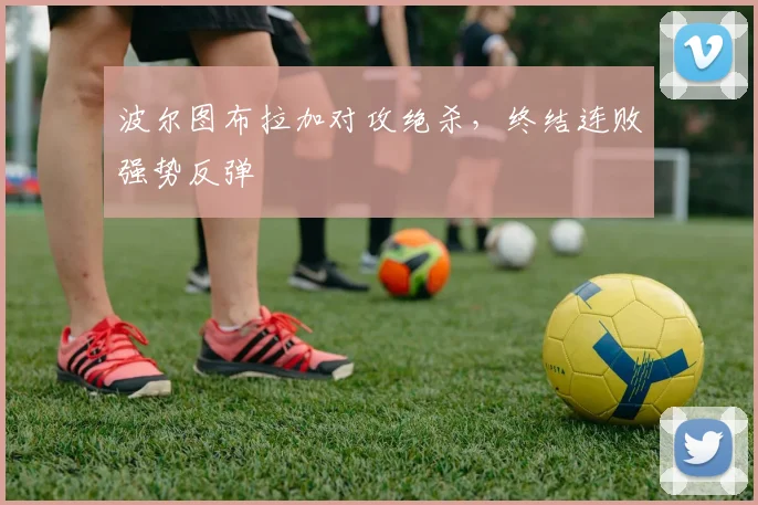 乐动体育官方登录入口 - 体育资讯通道