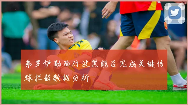 弗罗伊勒面对波黑能否完成关键传球拦截数据分析