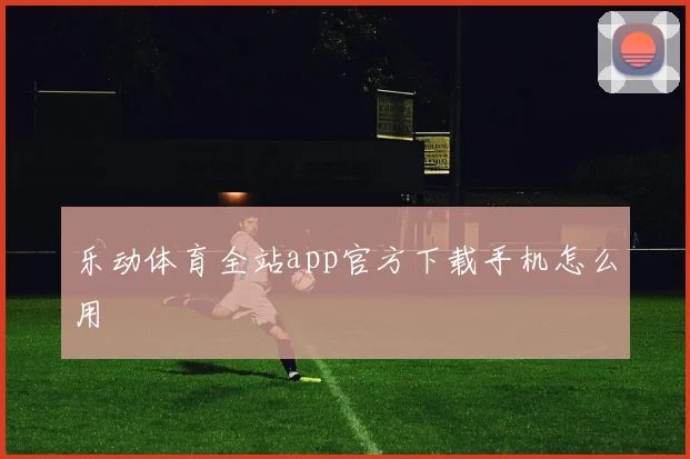 乐动体育全站app官方下载手机怎么用