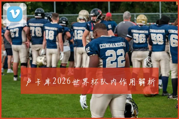 卢卡库2026世界杯队内作用解析