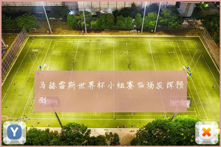 马赫雷斯世界杯小组赛临场发挥预测