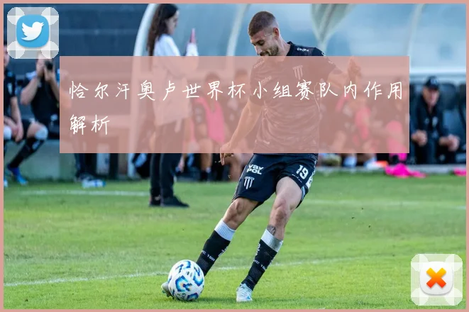 恰尔汗奥卢世界杯小组赛队内作用解析